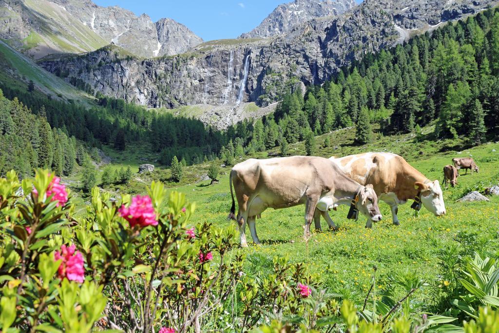 Chalet Tschallener Ried im Oberinntal Exteriör bild
